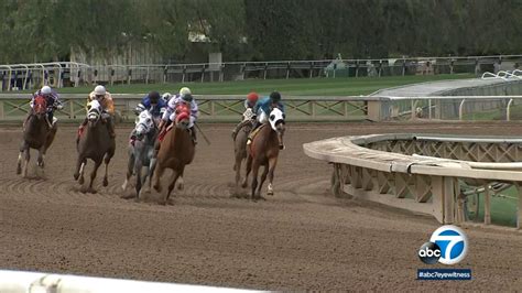 cali caliente twitter|Horse dies during training session at Santa Anita.